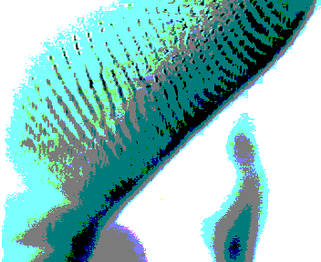 Sigg3.net(C)2003