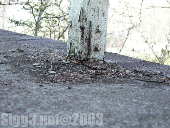 Sigg3.net(C)2003